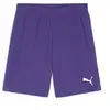 Puma, Garçons, Bas de sport, teamGOAL Short Jr (152), Violet, 152