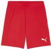 Puma Short Teamgoal