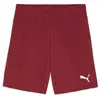 Puma Short Teamgoal