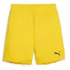 Puma Short Teamgoal