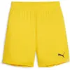Puma Short Teamgoal