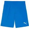 Puma, Hommes, Bas de sport, teamGOAL Short (3XL), Bleu, 3XL