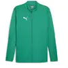 Puma, Hommes, Veste, Veste d'entraînement teamFINAL (XL), Vert, XL
