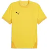 PUMA Teamfinal Maillot de football unisexe