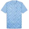 Puma, Hommes, T-shirt de sport, teamGLORY Jersey (L), Bleu, L