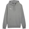 Puma Sweat à Capuche Casuals