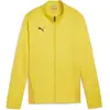 PUMA teamGOAL Veste d'entraînement pour femme