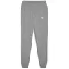 Puma Pantalon Teamgoal