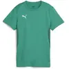 Puma, Femmes, T-shirt de sport, teamGOAL Jersey Wmn (M), Vert, M
