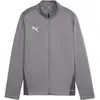 PUMA Veste d'entraînement unisexe Teamgoal Jr