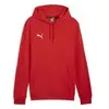 Puma Sweat à Capuche Casuals