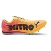 Puma Chaussures De Piste Evospeed Nitro Elite 2