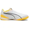 Puma Chaussures De Futsal Ibero Iv