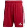 Adidas Short Tastigo 19