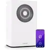 Klarstein - CircleDry 12 l déshumidificateur d'air Smart, Wi-Fi, silen...