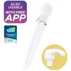 Satisfyer Vibro Wand Double Wand-er