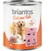 Briantos Delicious Paté 6 x 800 g pour chien - boeuf