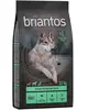 Briantos Adult agneau, pommes de terre - SANS CÉRÉALES pour chien - 12 kg
