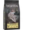 Briantos Adult Mobility poulet, pommes de terre - SANS CÉRÉALES pour chien - 12 kg