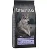 12kg Briantos Adult canard, pommes de terre SANS CÉRÉALES - Croquettes...