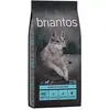 12kg Briantos Adult saumon, pommes de terre SANS CÉRÉALES - Croquettes...