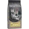 12kg Briantos Junior poulet, pommes de terre SANS CÉRÉALES - Croquettes pour chien