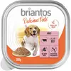 Briantos Delicious Paté 9 x 300 g pour chien - agneau, carottes