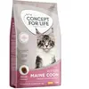 10kg Concept for Life Maine Coon Kitten Croquettes pour chaton