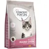 3kg Concept for Life Maine Coon Kitten Croquettes pour chaton