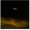 Ghosts, Disques vinyles