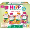 Hipp Bio 100% Fruits Gourde Multipack 4 variétés +4m 8 x 90g