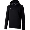 Puma Sweat à Capuche Teamgoal 23 Casuals