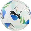 Puma Ballon De Football Cumbre Conmebol Fifa Quality Pro