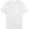 Puma, Hommes, T-shirt de sport, teamCUP Maillot d'entraînement (M), Bl...