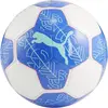 PUMA Balle PRESTIGE