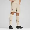 Puma, Hommes, Bas de sport, RBS Short Replica (M), Beige, M