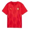 Puma T-shirt Manches Courtes Junior Rc Lens 24/25