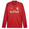 Puma, Hommes, T-shirt de sport, Top RBS Training 1/4 Zip (L), Rouge, L