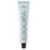 Schwarzkopf Igora Royal Highlifts 12-19 Special Blonde Cendré Violet 6...
