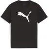 PUMA Teamrise Logo Jersey Coton Jr Tees Garçon