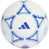 Adidas Ballon De Football Argentina 24 Club