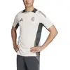 Adidas T-shirt à Manches Courtes Entraînement Real Madrid 24/25 Eu