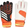 ADIDAS - pred gl trn - Keepershandschoen heren - Zwart