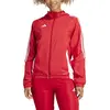 Adidas Veste Tiro24 Windbreaker