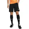 Puma, Hommes, Bas de sport, teamLIGA Short d'arbitre (3XL), Noir, 3XL