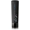 Sebastian - Foundation - Trilliance Shampoo - 250 ml