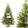 FAIRYTREES Sapin de Noël Artificiel 180 cm Nordmann Exclusif 100% PE  ...