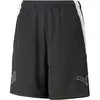 Puma Short Neymar Creativity