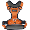 Petlando Hondentuig Outdoor Oranje- maat L 68   82 cm.