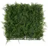 Décoration murale en plantes artificielles Fern 50 x 50 cm
